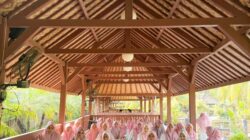 Ketua DPC PKB Lampung Tengah, Menggelar Rapat Kerja Perdana Jaringan Perempuan Nahdliyin(JPN)
